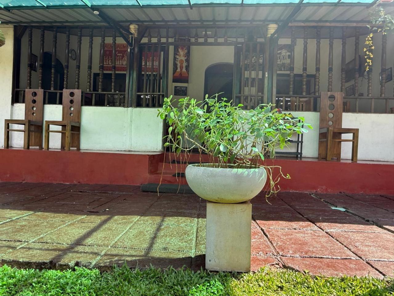 Lake Classical Guest House Kandy Zewnętrze zdjęcie
